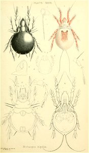 n348_w1150