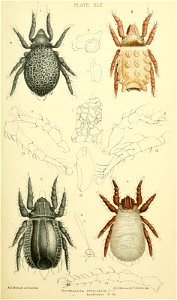 n408_w1150