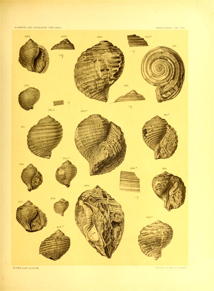 n354_w1150
