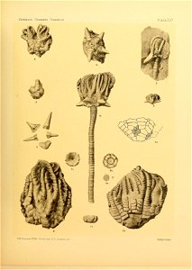 n192_w1150