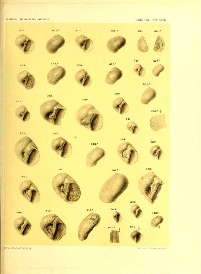 n478_w1150