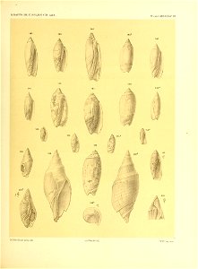 n194_w1150