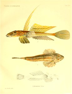 n40_w1150
