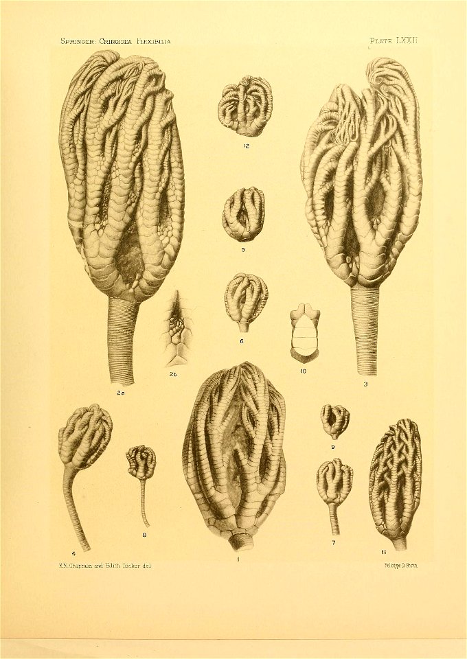 n304_w1150