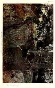 n514_w1150