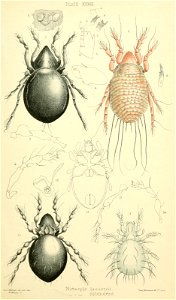 n372_w1150