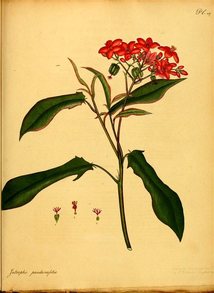 n508_w1150
