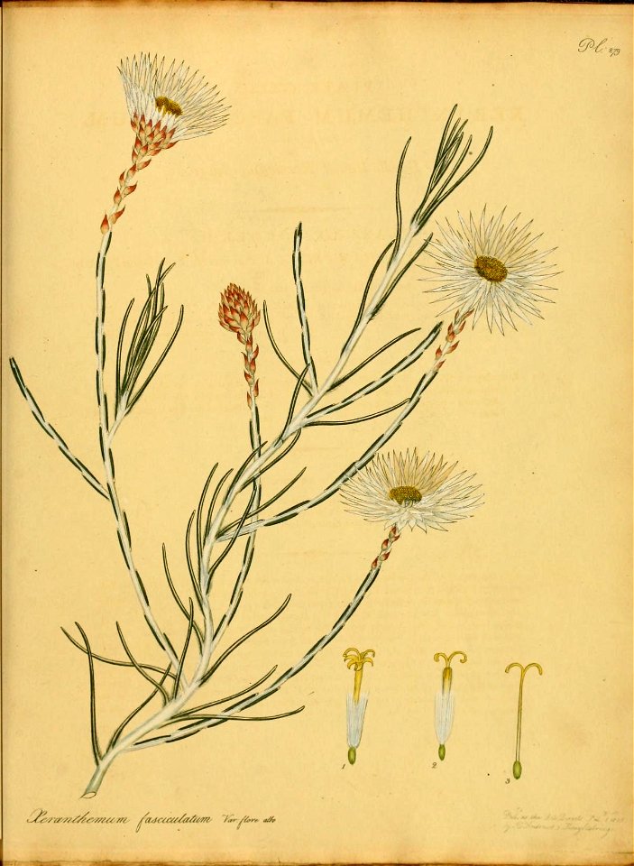 n556_w1150