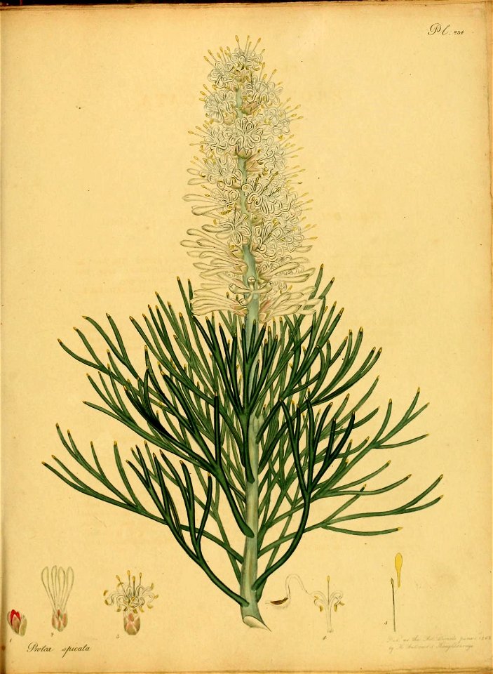 n376_w1150