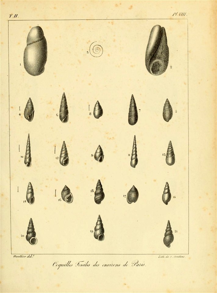 n68_w1150
