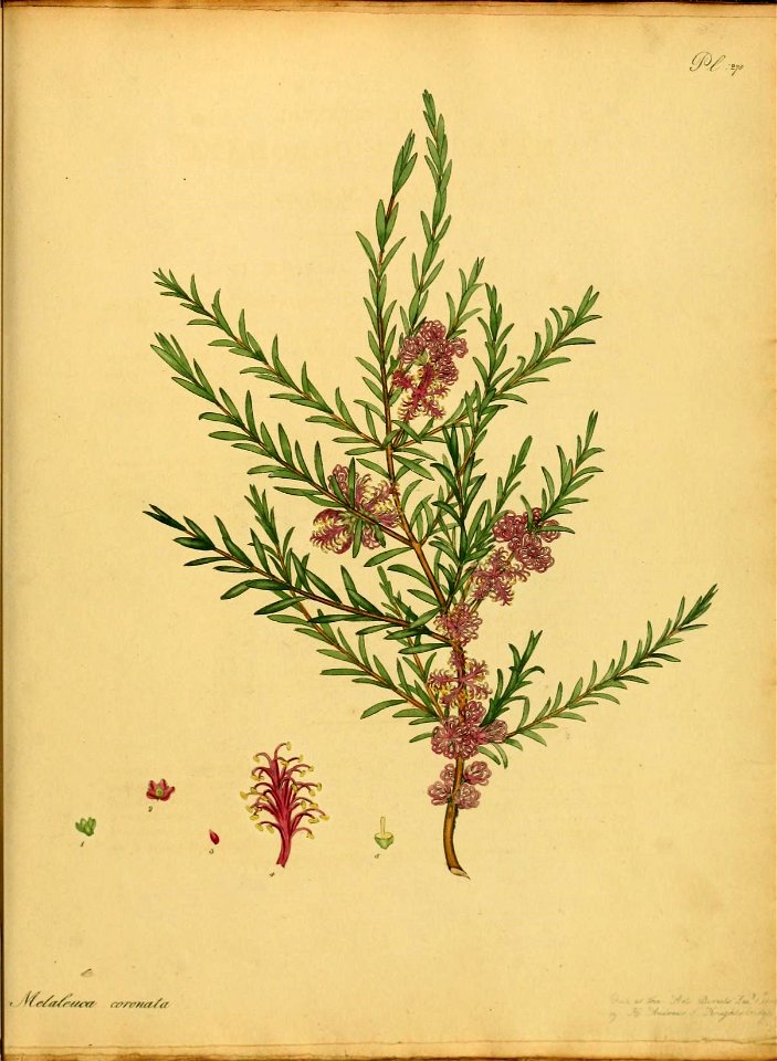 n552_w1150