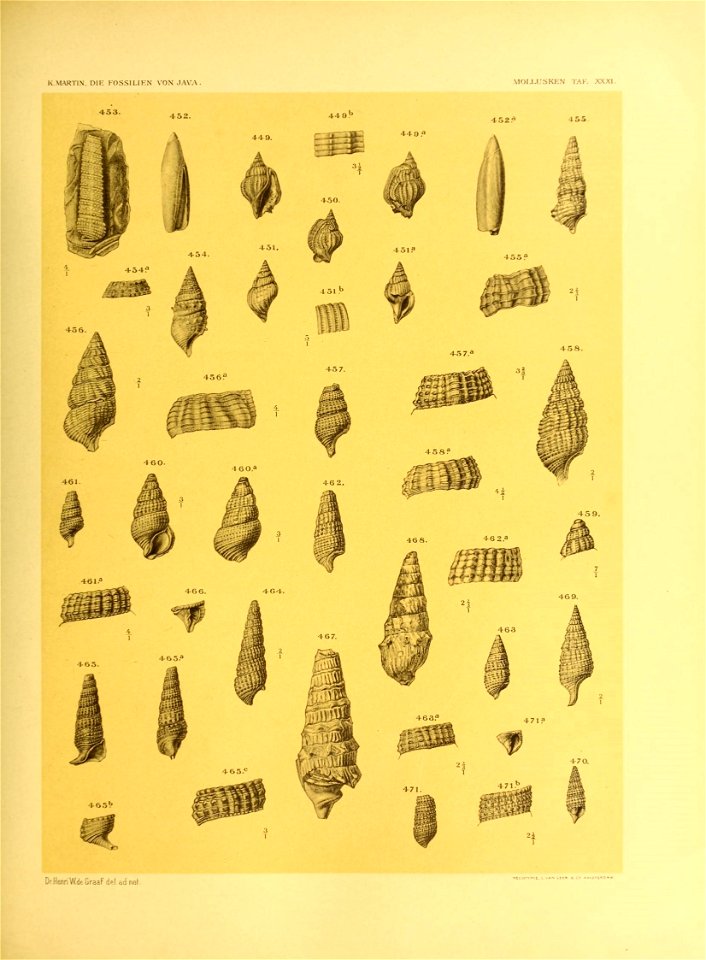 n378_w1150