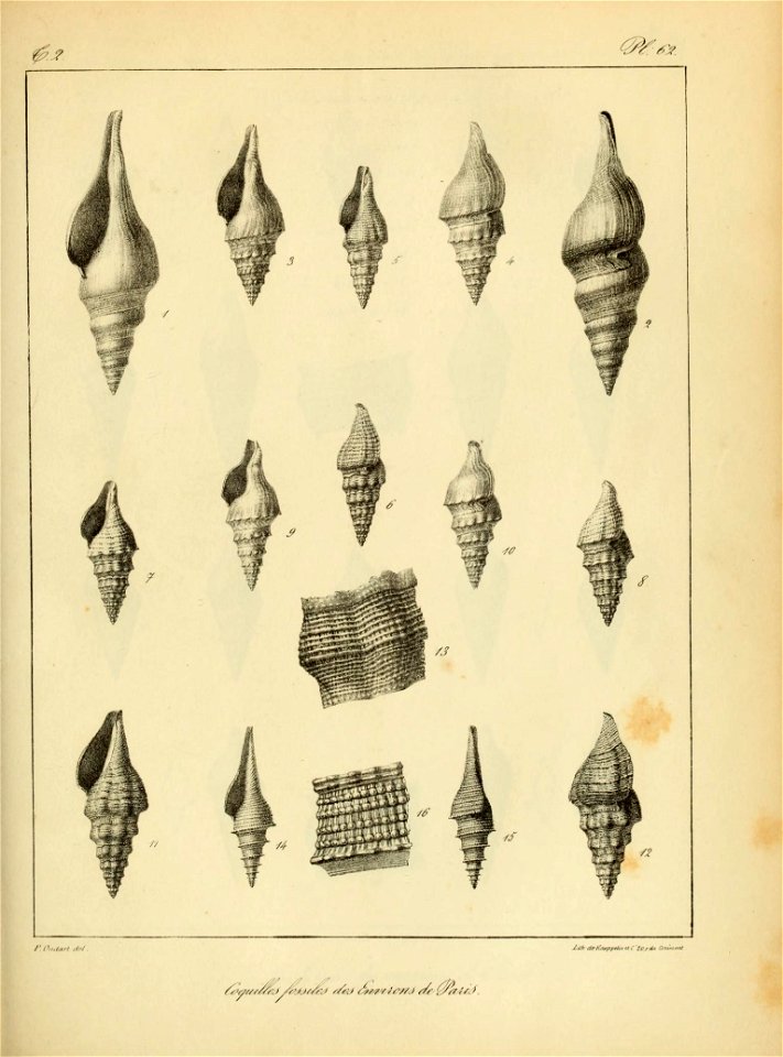 n174_w1150