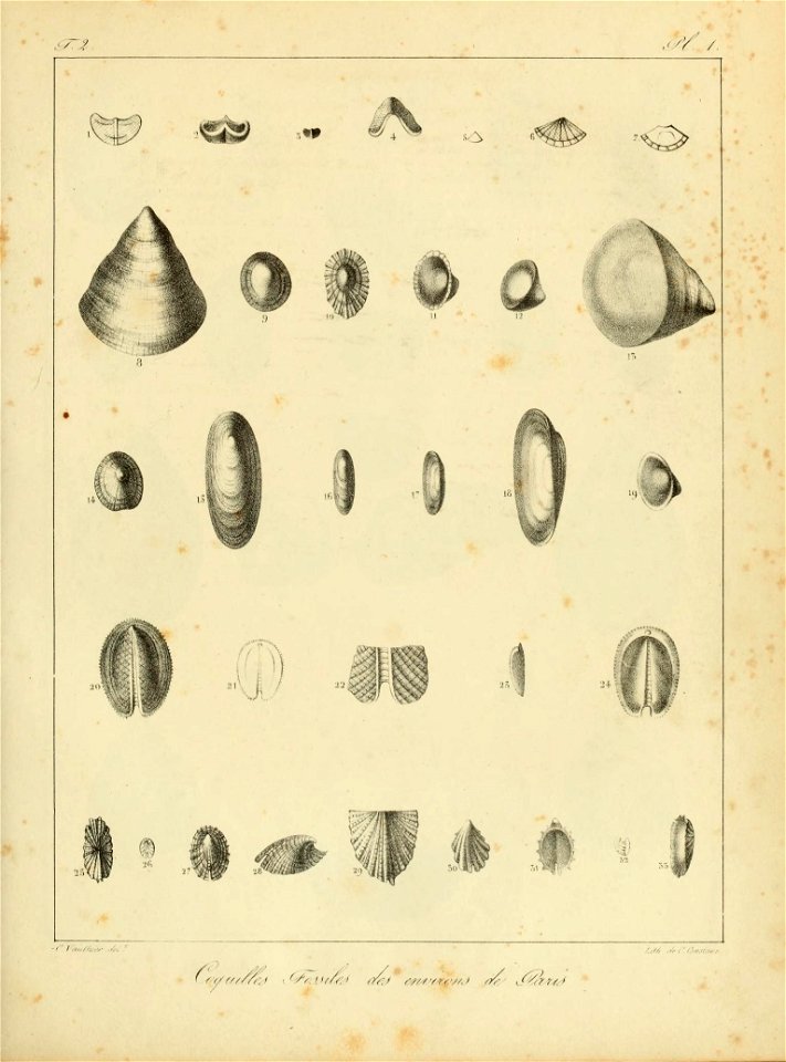 n54_w1150