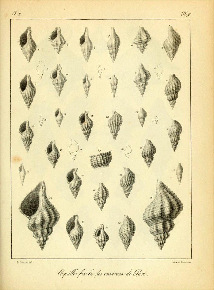 n202_w1150