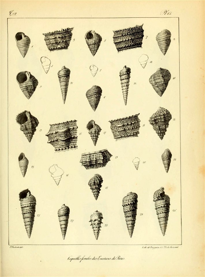 n172_w1150