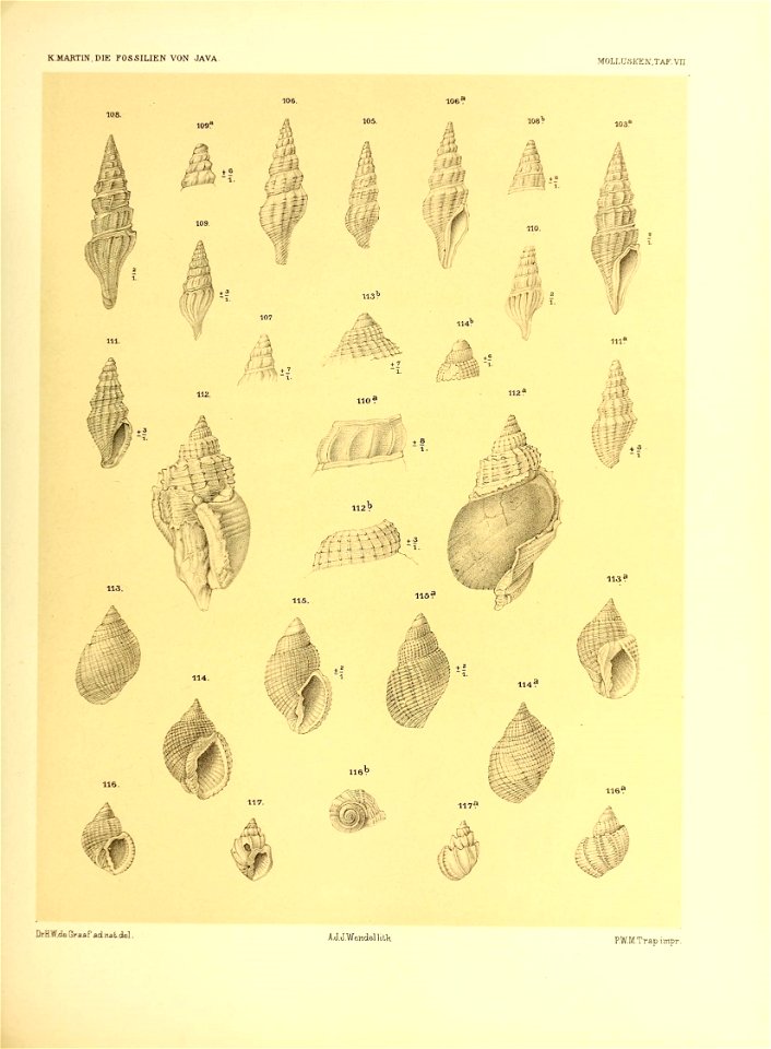 n186_w1150