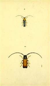 n50_w1150