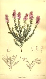 n146_w1150