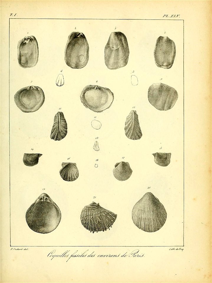 n524_w1150