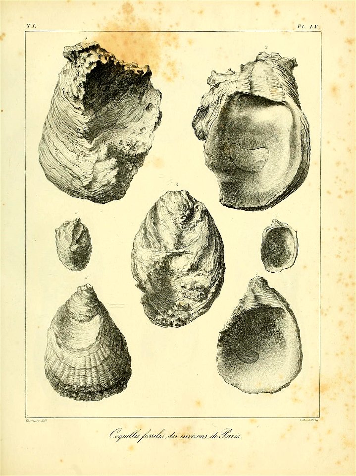 n554_w1150