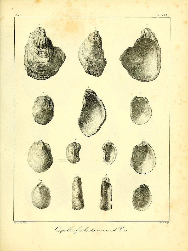 n552_w1150