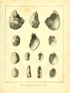 n552_w1150