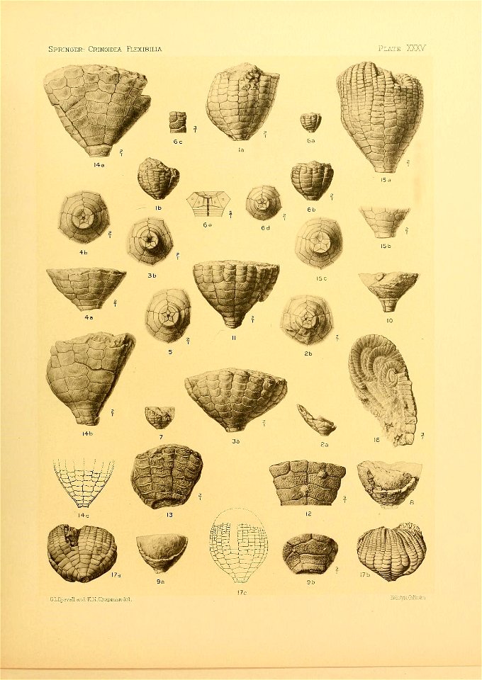 n156_w1150
