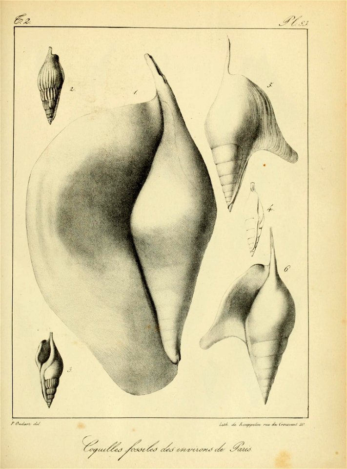 n216_w1150