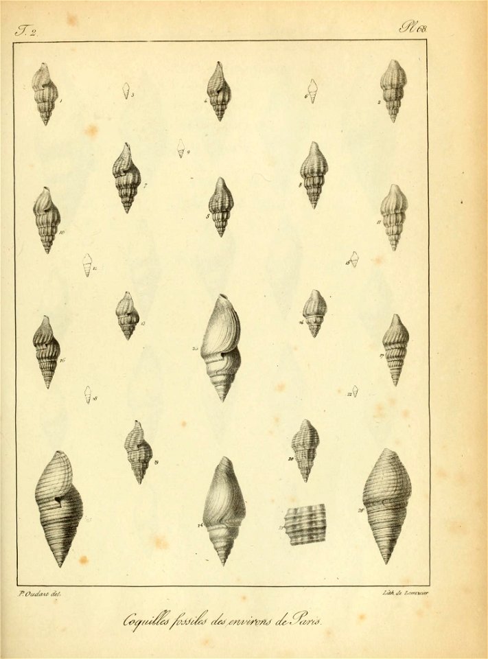 n186_w1150