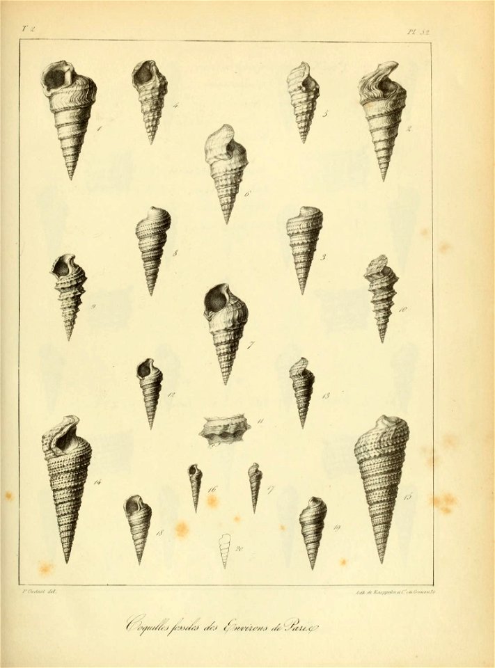 n156_w1150