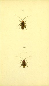 n56_w1150