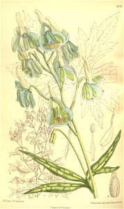 n155_w1150