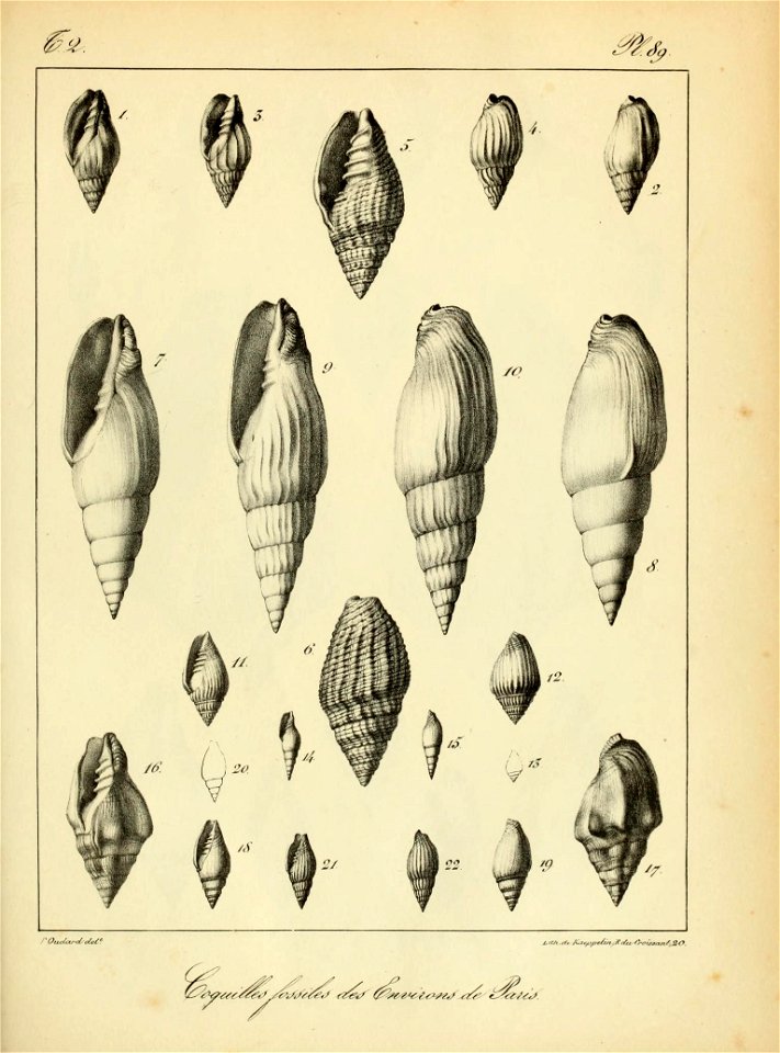 n228_w1150