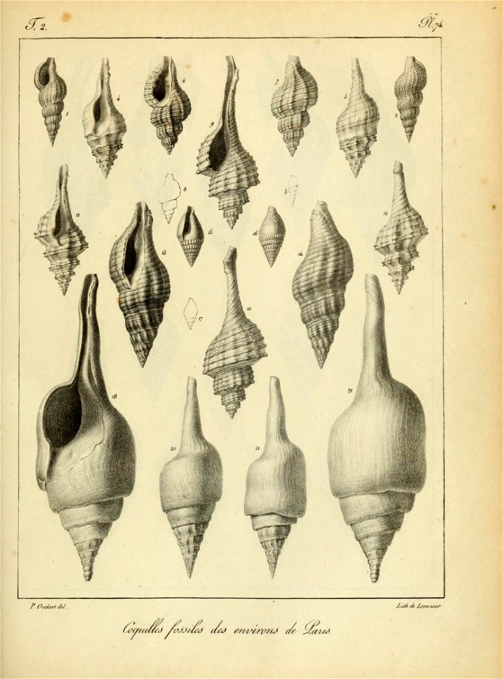 n198_w1150