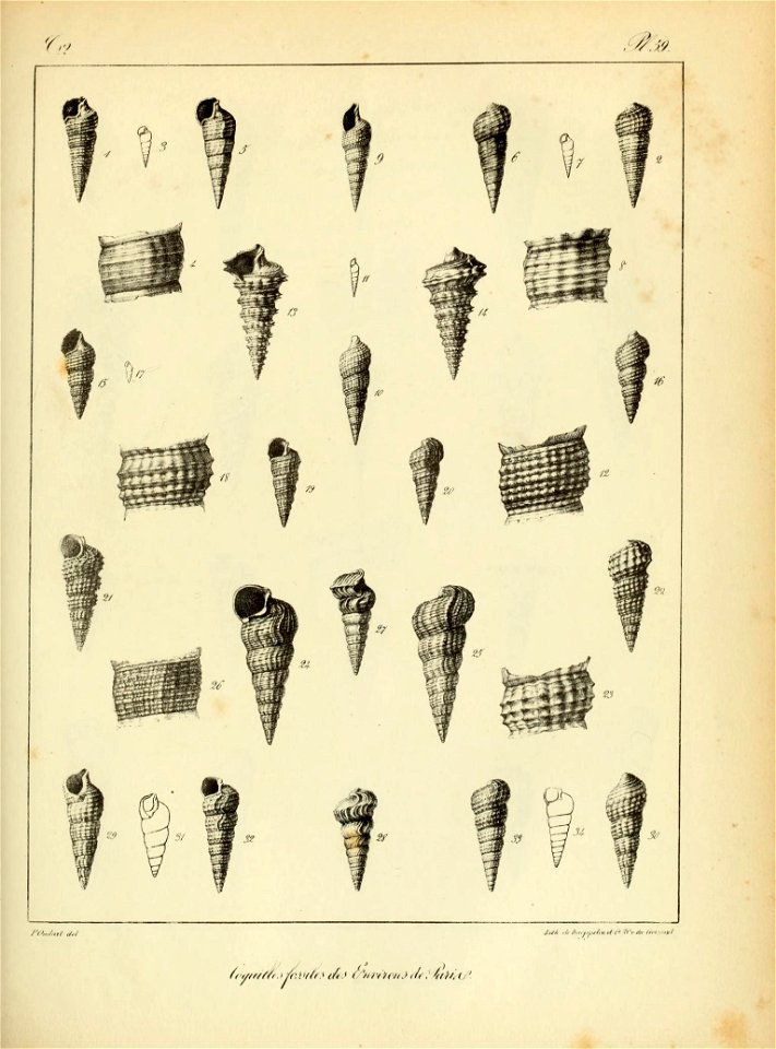 n168_w1150