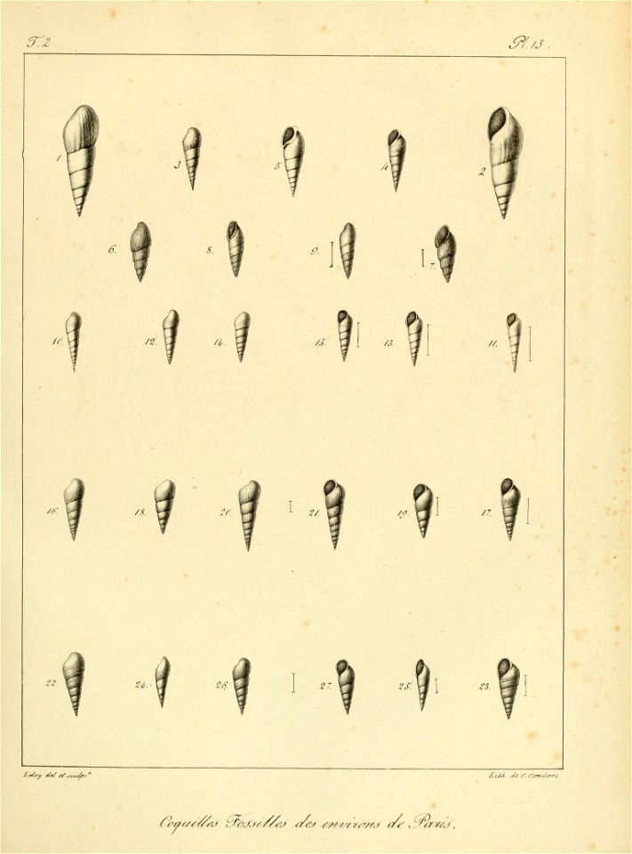 n78_w1150