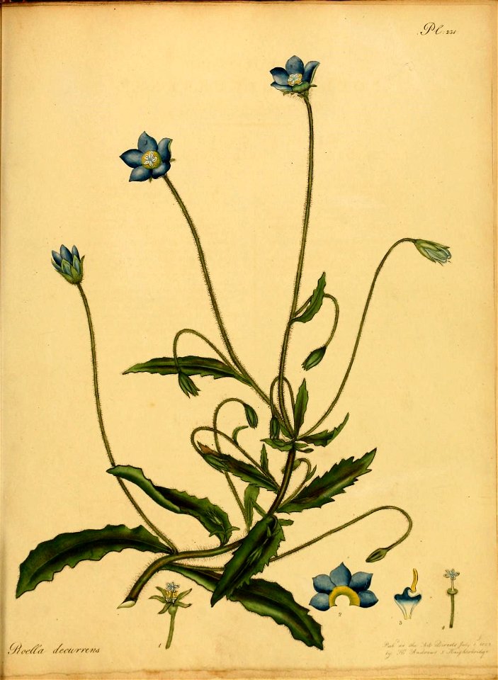 n392_w1150