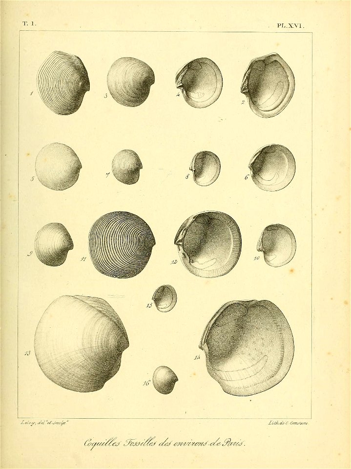 n466_w1150