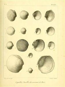 n466_w1150