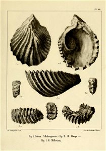 n102_w1150