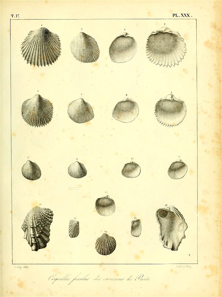 n494_w1150