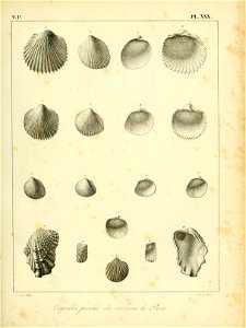 n494_w1150