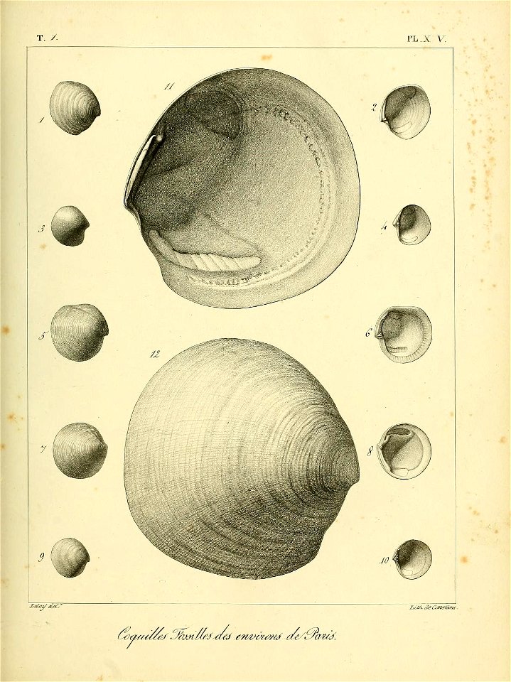 n464_w1150