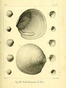 n464_w1150