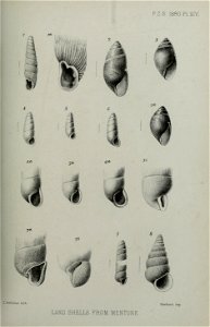 n198_w1150
