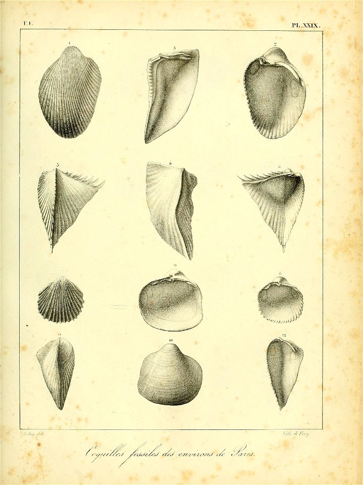 n492_w1150