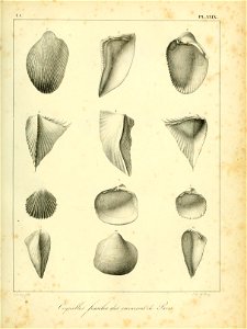 n492_w1150