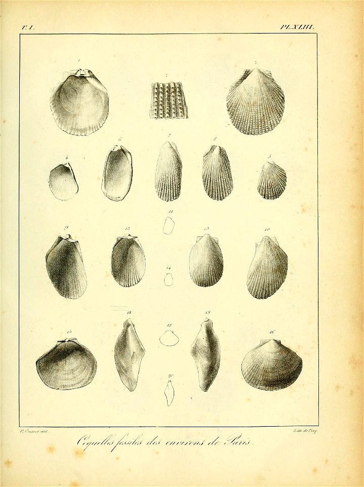 n520_w1150