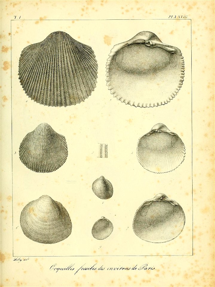n490_w1150
